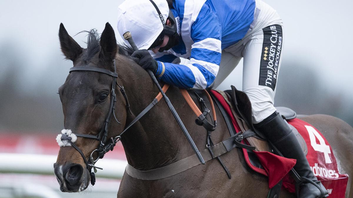 Paul Nicholls' horse Frodon